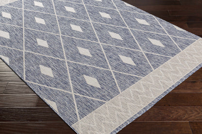 Tuareg TRG-2334 Machine Woven Rug