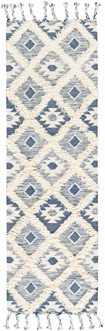 Apache APA-2304 Hand Woven Rug