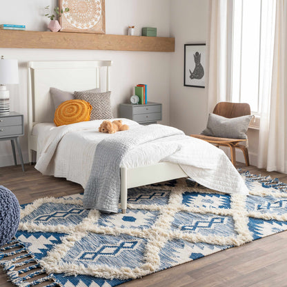 Apache APA-2304 Hand Woven Rug