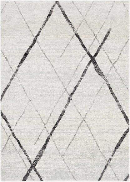 Elaziz ELZ-2323 Machine Woven Rug