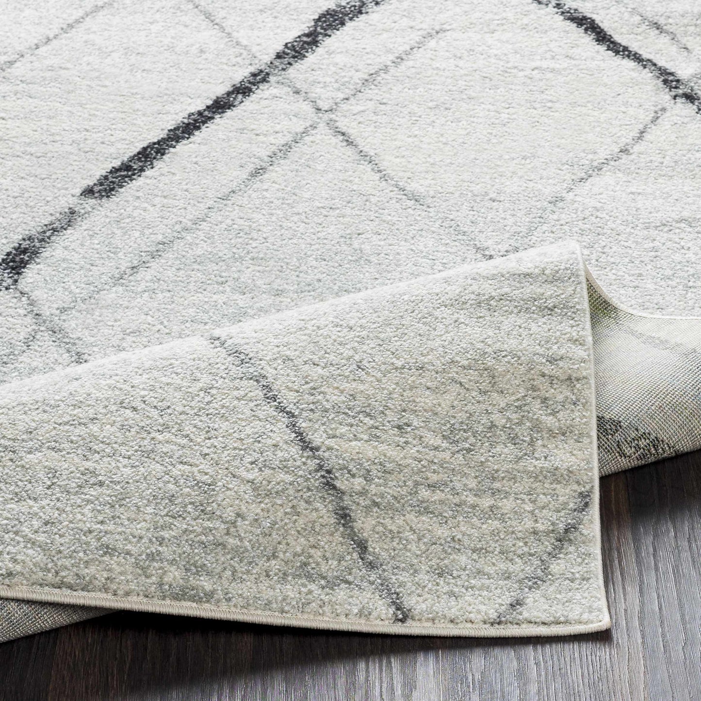 Elaziz ELZ-2323 Machine Woven Rug