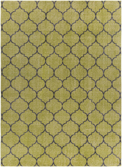 Light Olive Hand Knotted 100% Wool Modern Rectangle Handmade rug, Indoor use only, no fringe, non-washable.