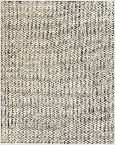 Beige Hand Woven 75% Wool, 25% Viscose Modern Rectangle Handmade rug, Indoor use only, no fringe, non-washable.