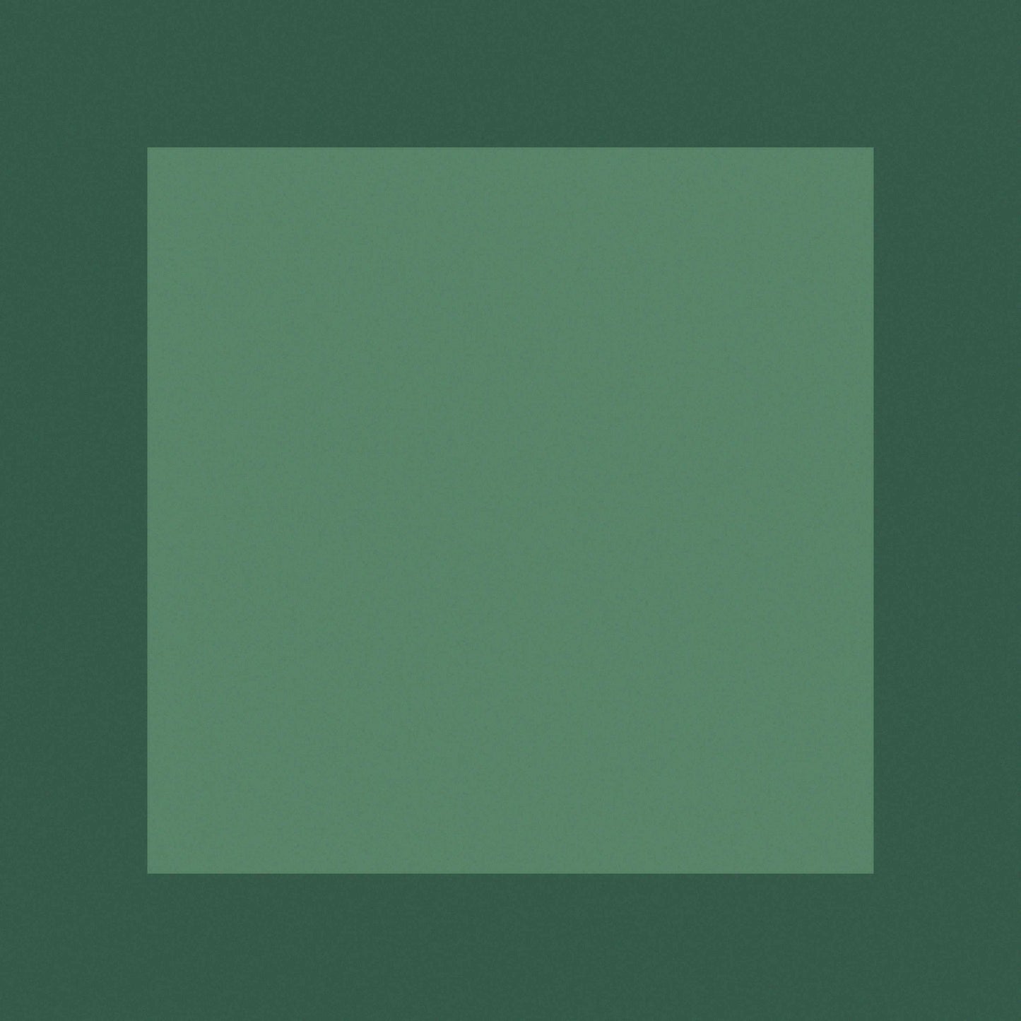 Mystique M-5315 Handmade Rug