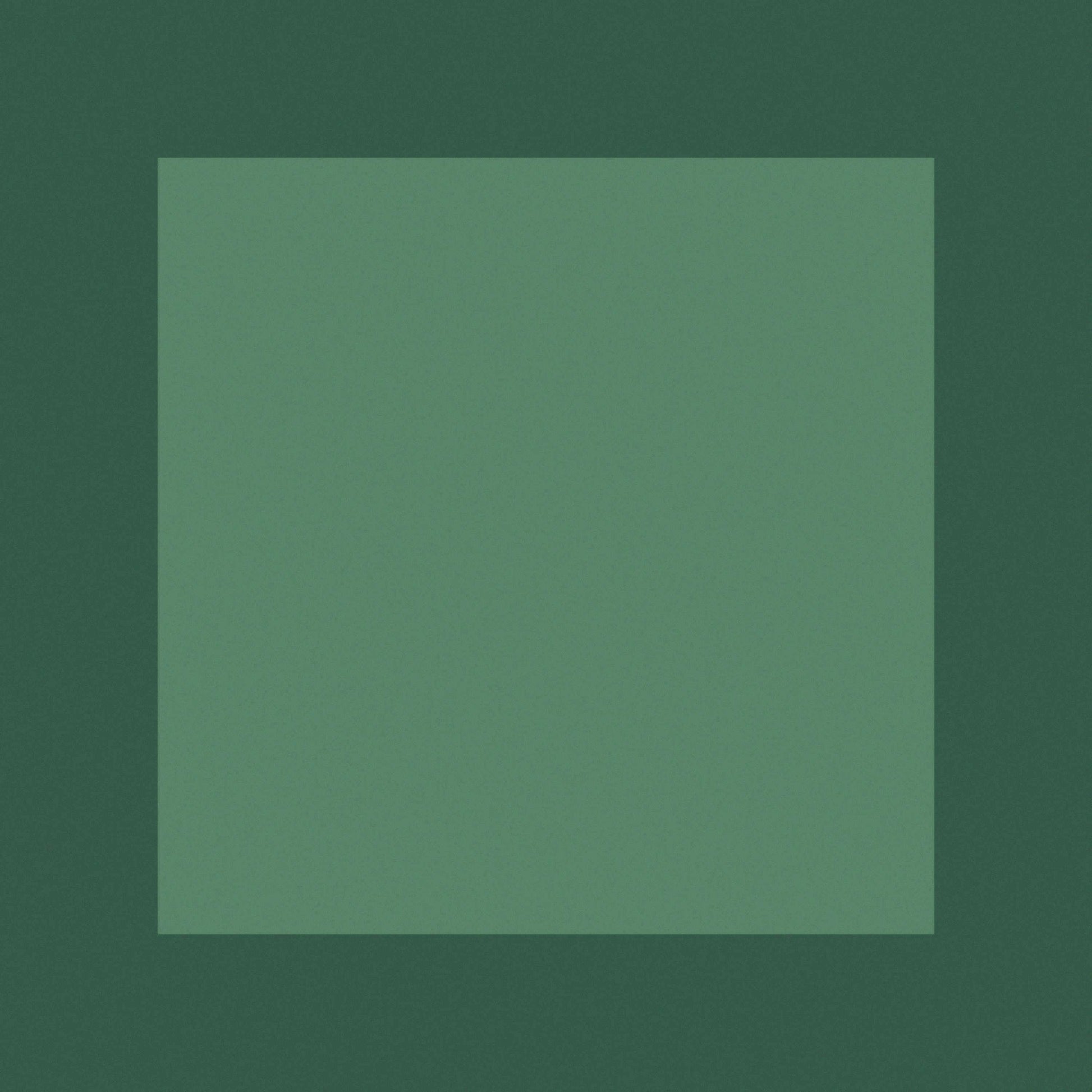 Mystique M-5315 Handmade Rug