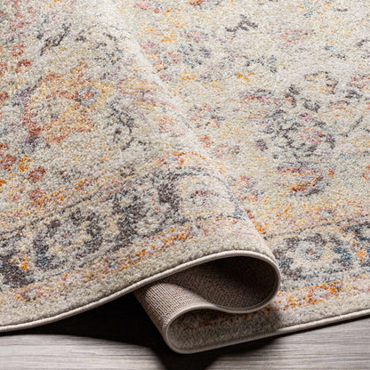 New Mexico NWM-2356 Machine Woven Rug