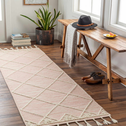 Norwood NWD-2309 Hand Woven Rug