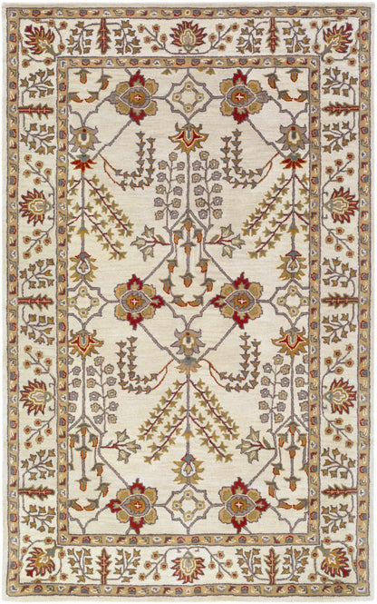 Middleton AWMD-2243 Hand Tufted Rug