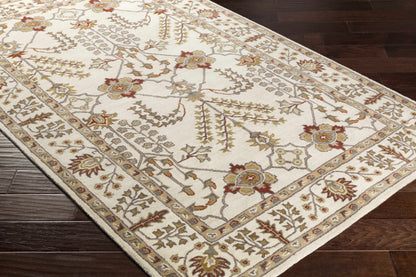 Middleton AWMD-2243 Hand Tufted Rug