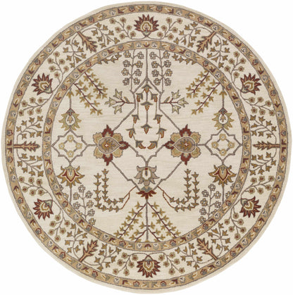 Middleton AWMD-2243 Hand Tufted Rug