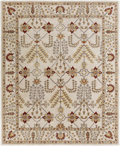Middleton AWMD-2243 Hand Tufted Rug