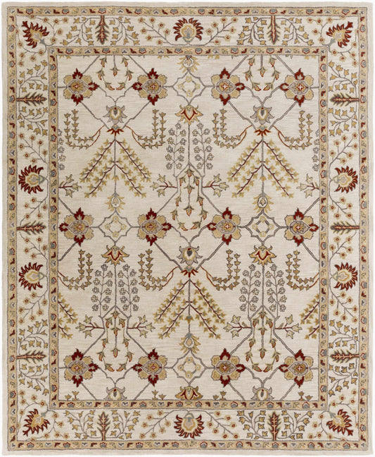 Middleton AWMD-2243 Hand Tufted Rug