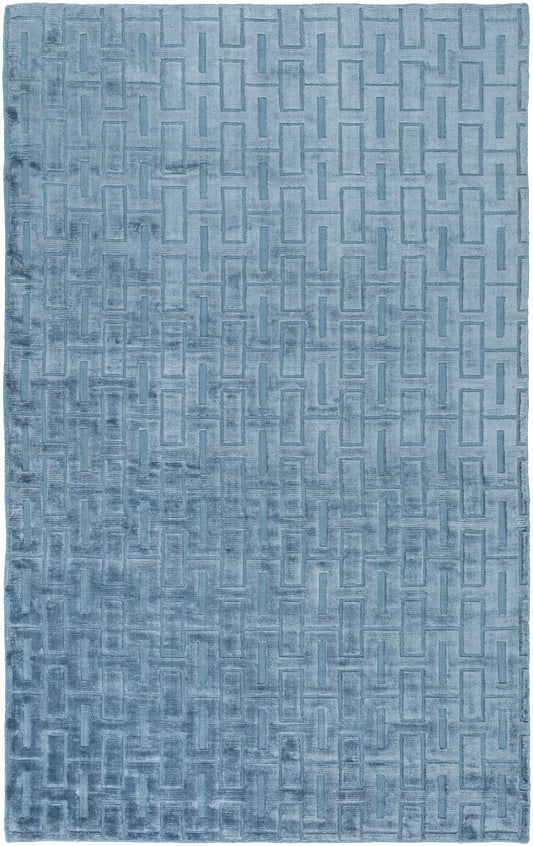 Castlebury CBY-7007 Hand Woven Rug