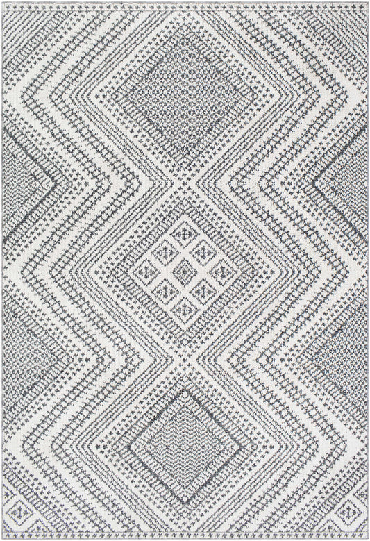 Ariana RIA-2302 Machine Woven Rug
