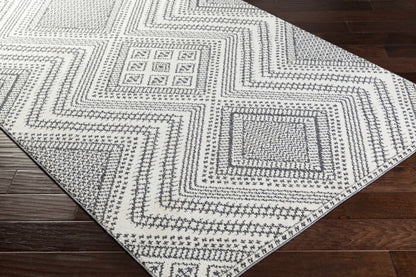 Ariana RIA-2302 Machine Woven Rug