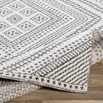 Ariana RIA-2302 Machine Woven Rug