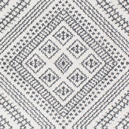 Ariana RIA-2302 Machine Woven Rug
