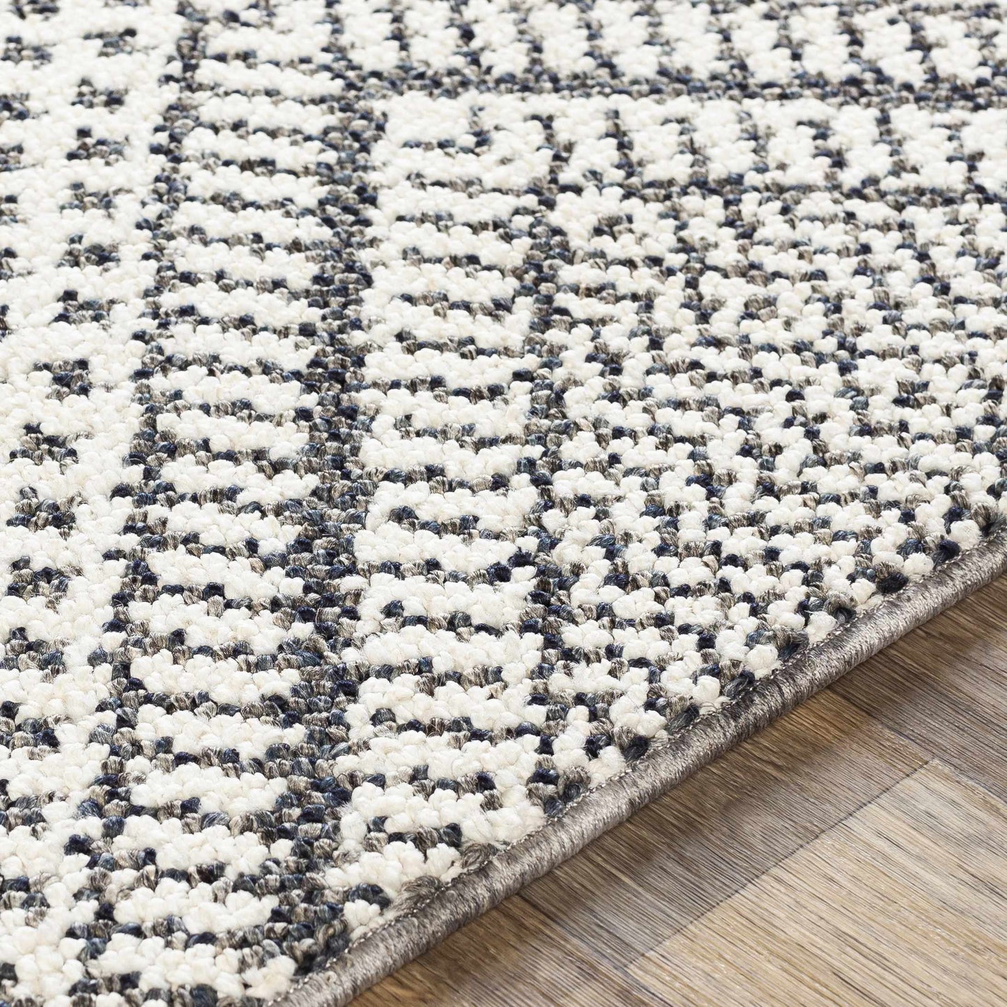 Ariana RIA-2302 Machine Woven Rug