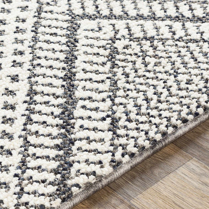 Ariana RIA-2302 Machine Woven Rug