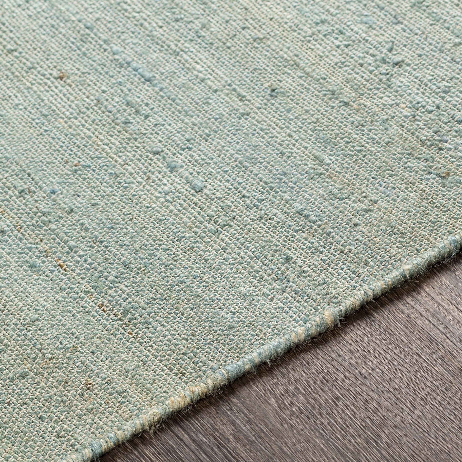 Evora EVO-2302 Hand Woven Rug