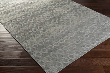 Castlebury CBY-7002 Hand Woven Rug