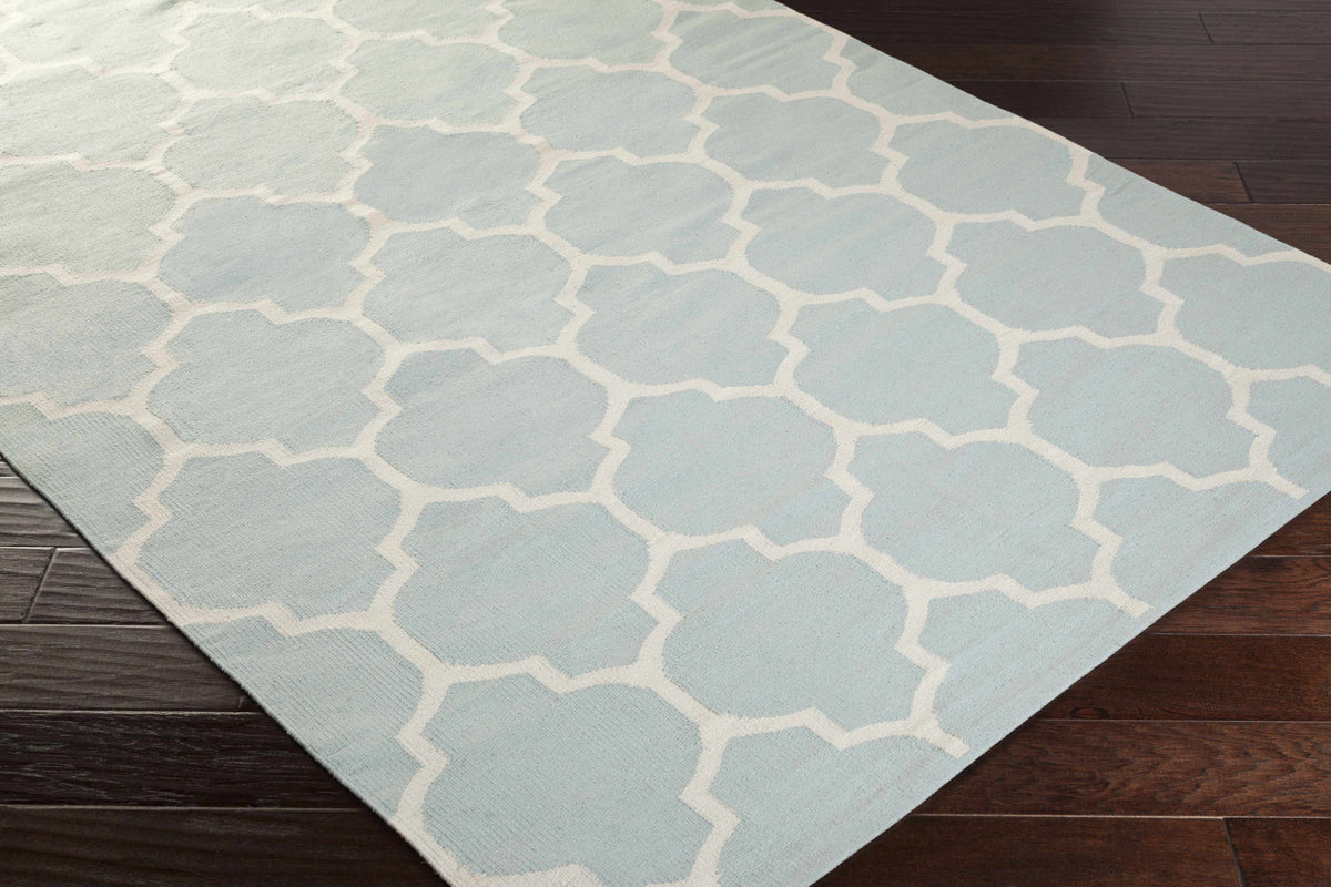 Vogue AWLT-3013 Hand Woven Rug