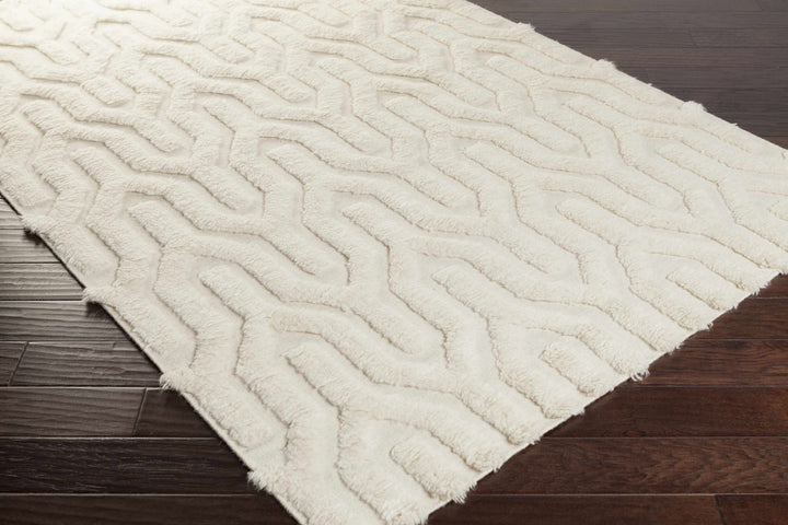 Kabru KAB-8006 Hand Woven Rug