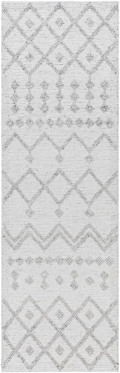Napoli NPO-2302 Hand Woven Rug