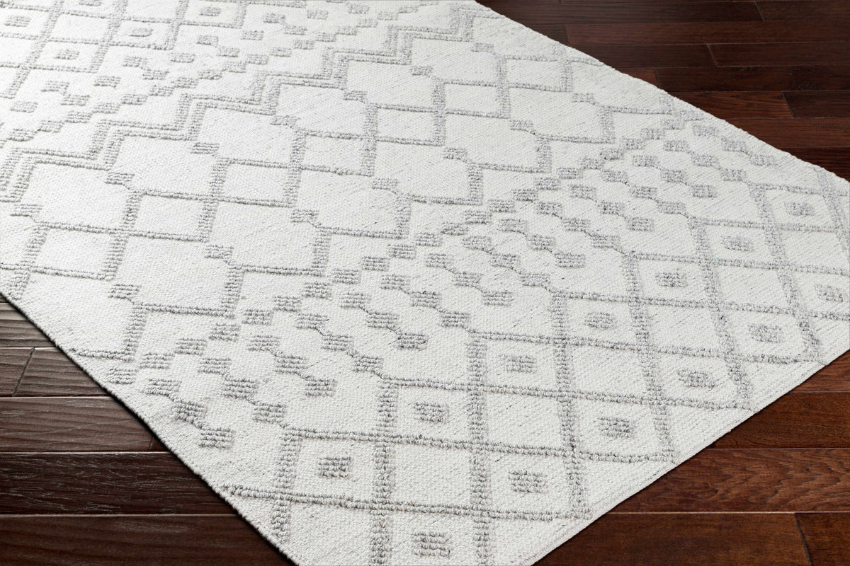 Napoli NPO-2302 Hand Woven Rug