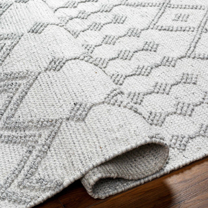 Napoli NPO-2302 Hand Woven Rug