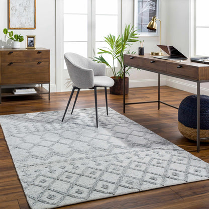 Napoli NPO-2302 Hand Woven Rug