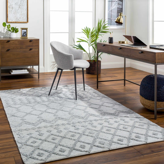 Napoli NPO-2302 Hand Woven Rug