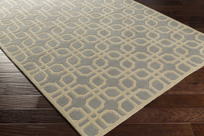Transit AWMD-2105 Hand Tufted Rug
