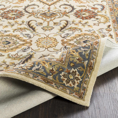 Middleton AWHY-2064 Hand Tufted Rug