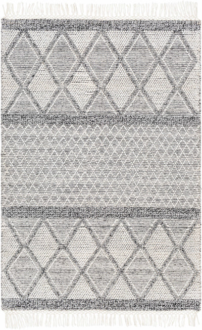 White Hand Woven 100% Recycled PET Yarn Global Rectangle Handmade rug, Indoor use only, has fringe, non-washable.