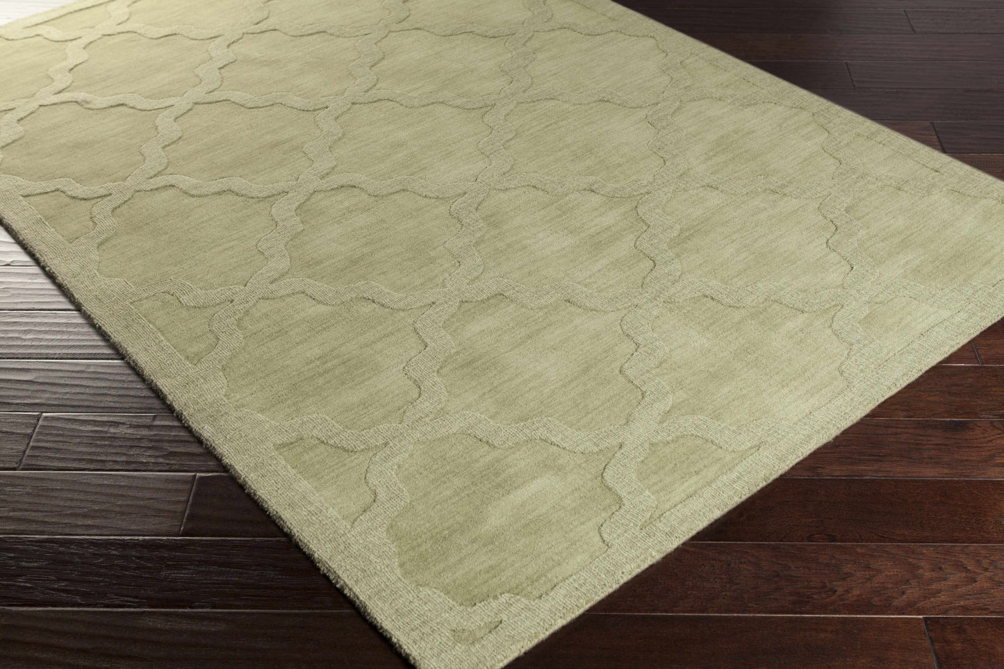 Central Park AWHP-4016 Hand Loomed Rug
