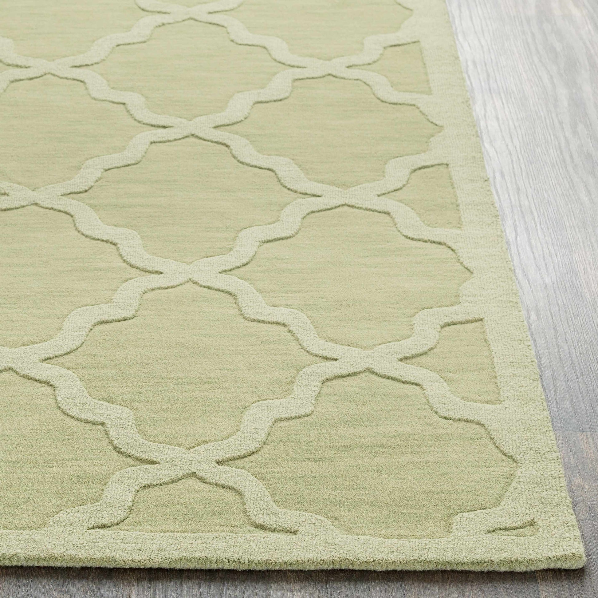 Central Park AWHP-4016 Hand Loomed Rug