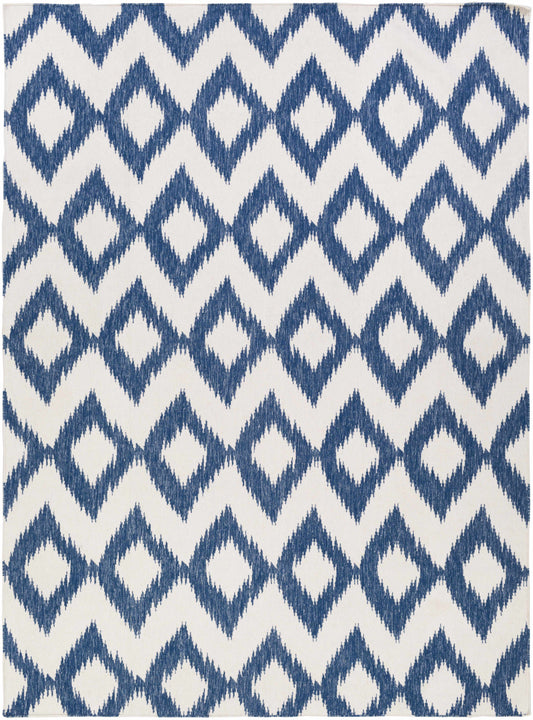 Frontier FT-165 Hand Woven Rug