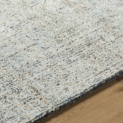 Alicia ACS-2302 Handmade Rug