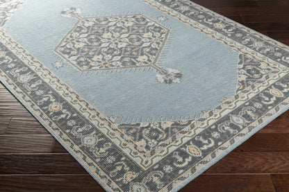 Zahra ZHA-4050 Hand Knotted Rug