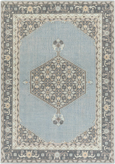 Aqua Hand Knotted 100% NZ Wool Traditional Rectangle Handmade rug, Indoor use only, no fringe, non-washable.