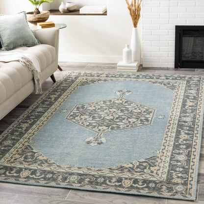 Zahra ZHA-4050 Hand Knotted Rug