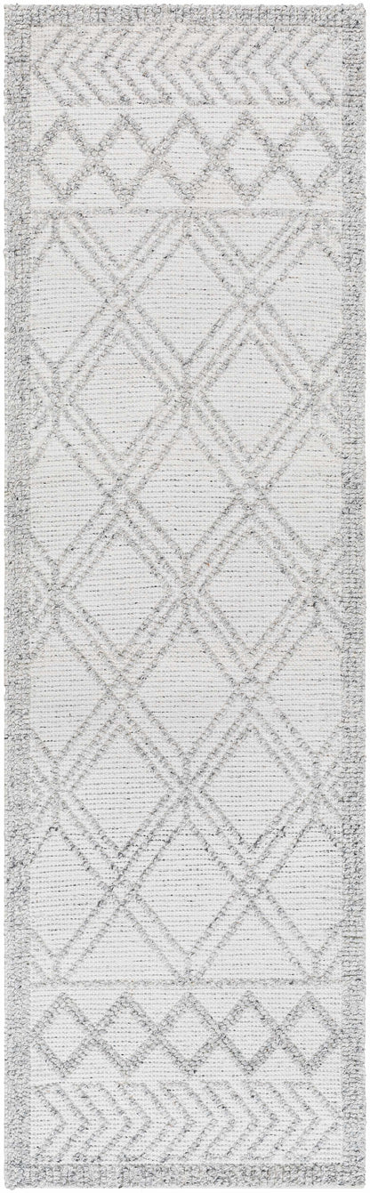Napoli NPO-2310 Hand Woven Rug