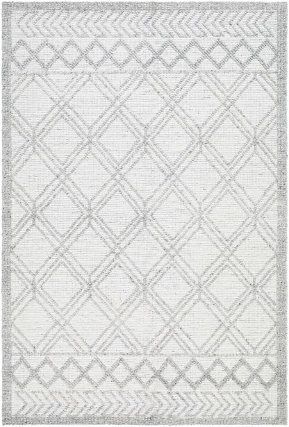 Napoli NPO-2310 Hand Woven Rug