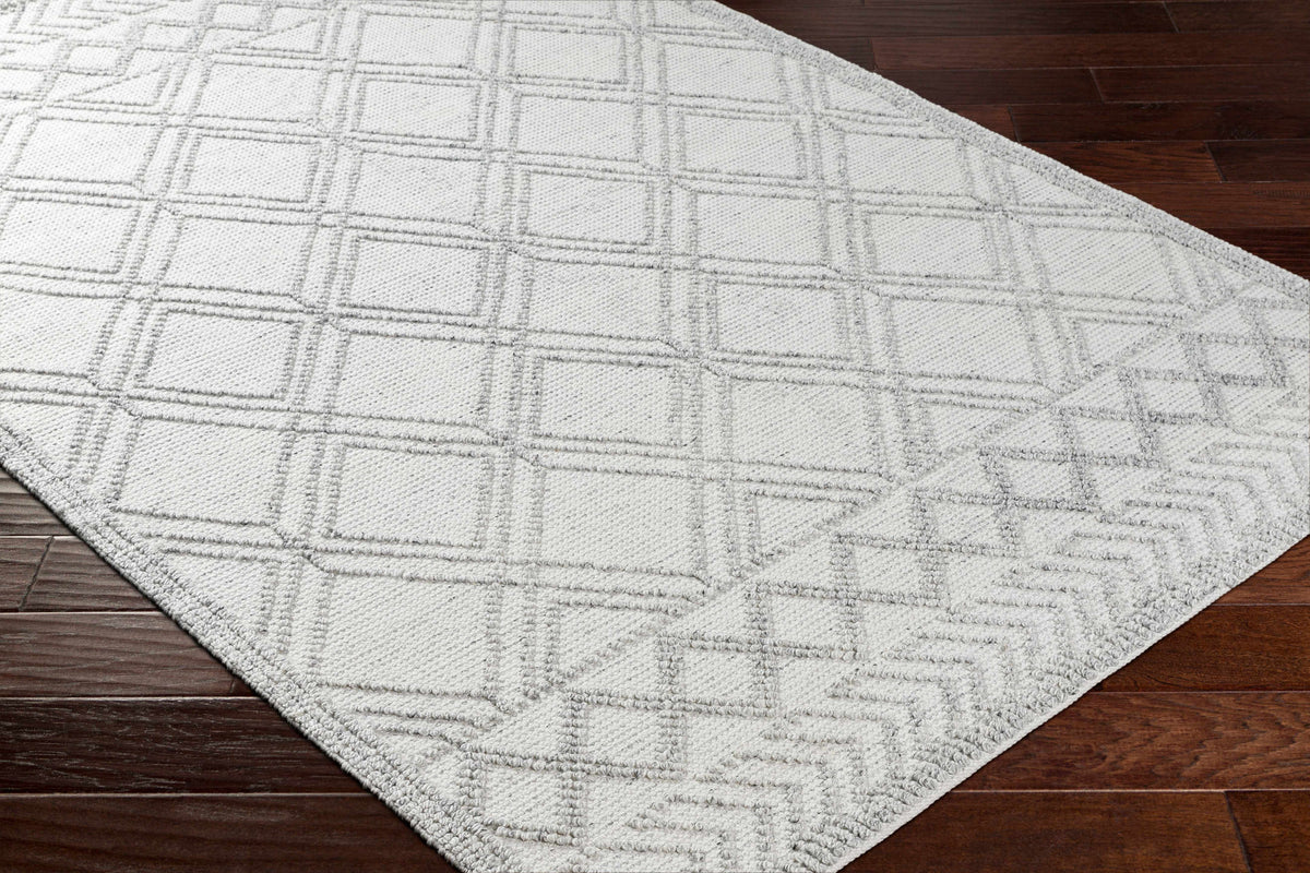 Napoli NPO-2310 Hand Woven Rug