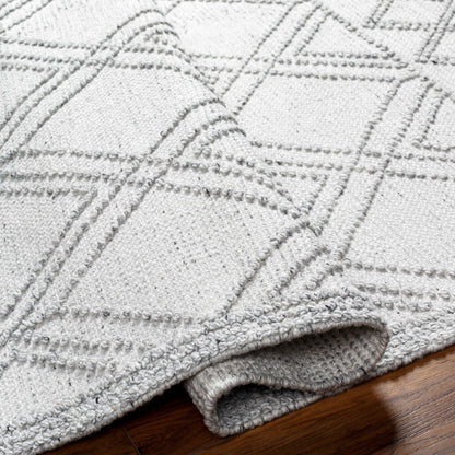 Napoli NPO-2310 Hand Woven Rug