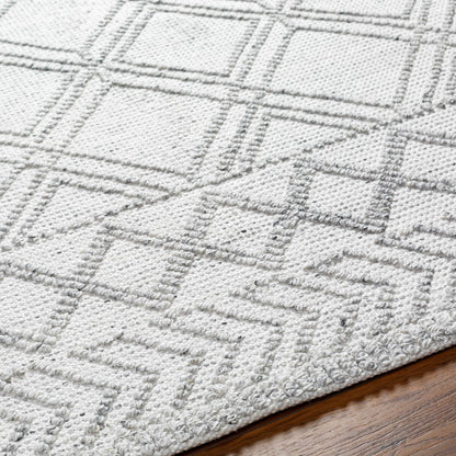 Napoli NPO-2310 Hand Woven Rug