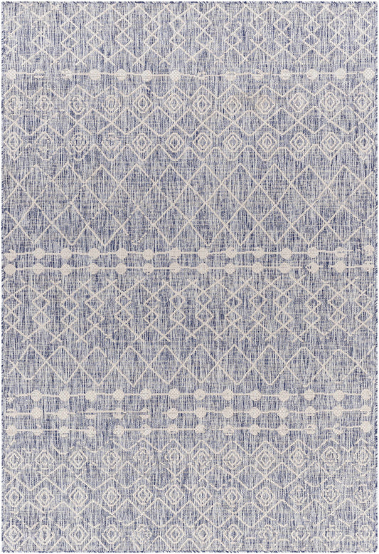 Tuareg TRG-2386 Machine Woven Rug
