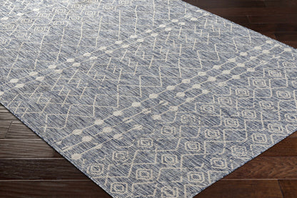 Tuareg TRG-2386 Machine Woven Rug