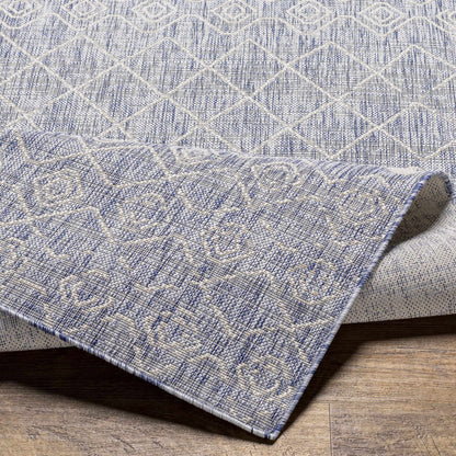 Tuareg TRG-2386 Machine Woven Rug